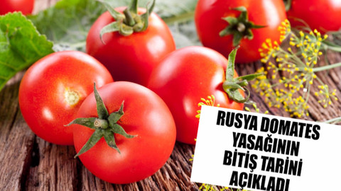 Rusya domates yasağının bitiş tarihini açıkladı