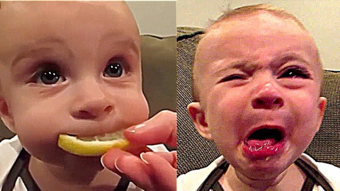 İlk kez limon yiyen bebekler