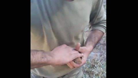 Türk askeriyle kanka olan yabani sincap