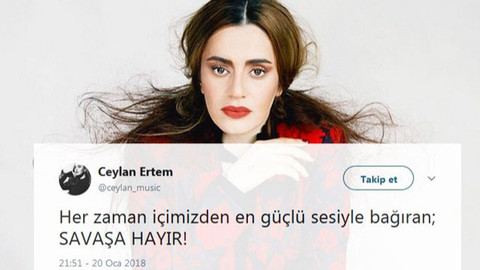 Ceylan Ertem kimdir? Zeytin Dalı tweeti neden olay oldu?