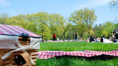 Sevdiklerinizle güzel zaman geçirebileceğiniz Bursa piknik alanları