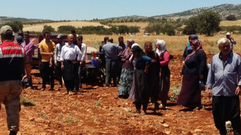 Adıyaman'da aile katliamı