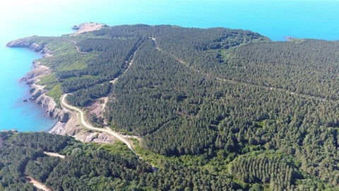 Sinop Belediye Başkanı'nın nükleer santral açıklaması gündem oldu