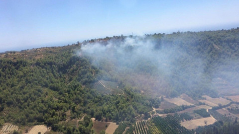 Hatay'da orman yangını