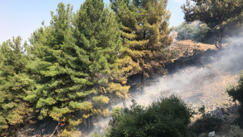 Manisa'da orman yangını