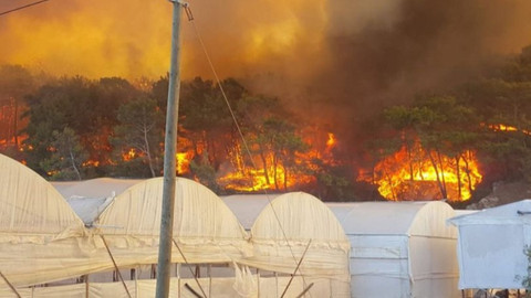 Antalya'da orman yangını... Kırmızı alarm verildi