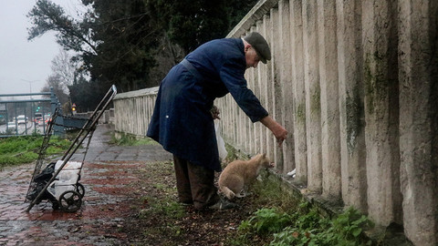 88 yaşındaki Celal amca sokak hayvanlarını elleriyle besliyor