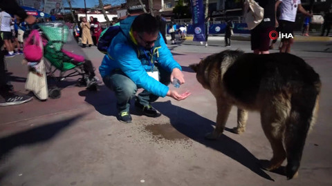 Sokak köpeğine elleriyle su içirdi