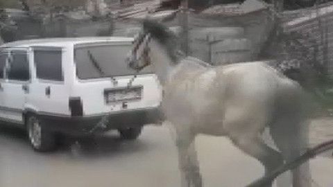 Atını aracının arkasına bağlayıp koşturdu