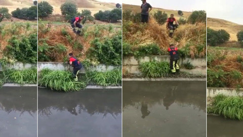 Kanalda mahsur kalan köpekleri itfaiye kurtardı