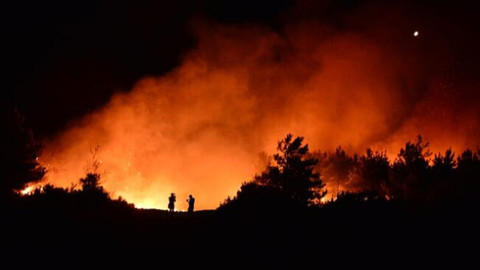 Çanakkale Gelibolu'da orman yangını!