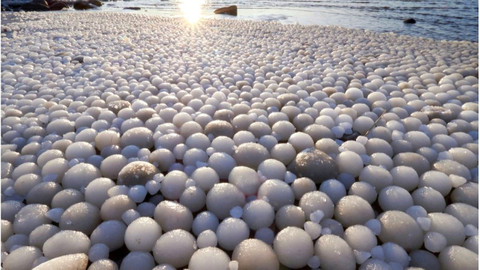 Sahilde yumurta benzeri buz topları