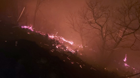 Karadeniz’de orman yangınları