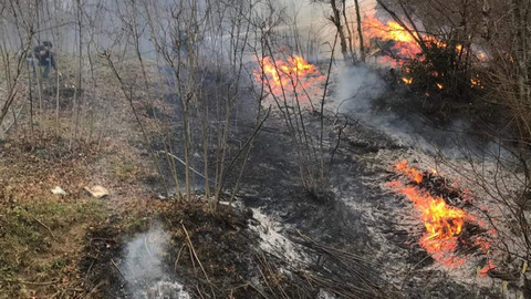 Karadeniz'de 5 ilde 71 noktada yangınlar sürüyor