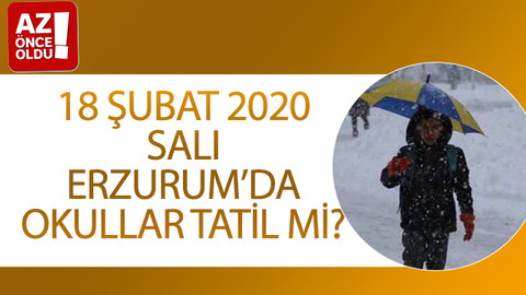18 Şubat 2020 Salı Erzurum’da okullar tatil mi?