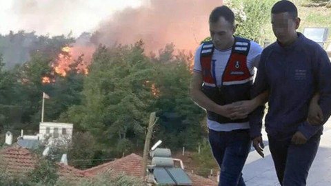 Muğla'da orman yangını çıkaran sanığın ifadesi ortaya çıktı: Yangını uzaktan izleyerek video çekmiş