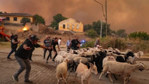 Ödemiş'te kahreden fotoğraflar: Alevlerden böyle kaçtılar