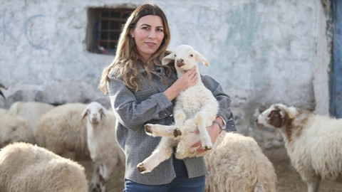 İstanbul'u bırakıp köyde başarı hikayesi yazdı! 3 yılda sürüsünü 4'e katladı