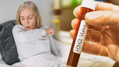 Mutasyona uğrayan H3N2 virüsü Türkiye'ye giriş yaptı: Domuz gribinden farksız