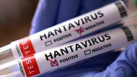 Dünyanın konuştuğu hantavirüs Türkiye’de görüldü mü? Sağlık Bakanlığı'ndan net yanıt