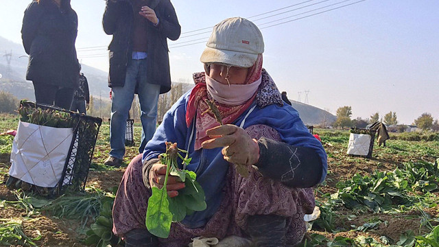 Bankaya çamurlu ayakkabılarını çıkarıp giren kadın bakın kimmiş?