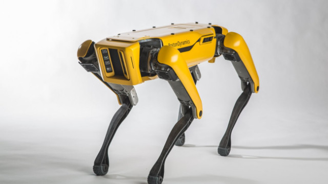 Boston Dynamics'in sarı robotu- Robot köpek SpotMini kapı açıyor