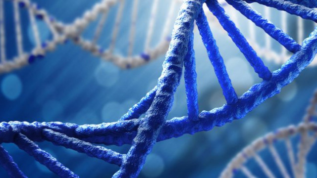 3 DNA ne demek? Bir vücutta 3 ayrı DNA olması ne anlama geliyor?