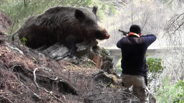 Burdur'da domuz avına çıkan bir kişi arkadaşını vurdu