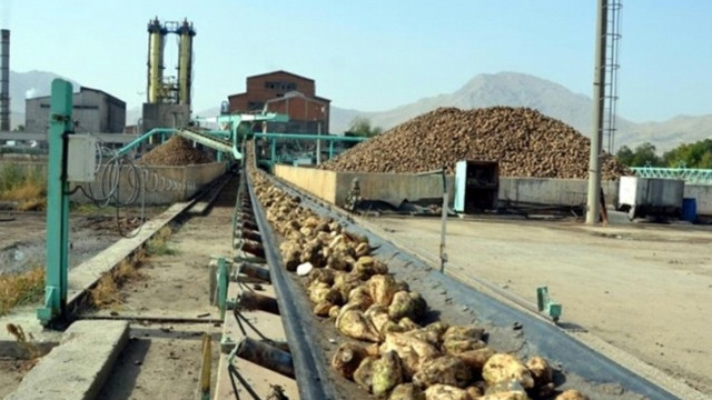 Turhal Şeker Fabrikası işçileri fabrikaya sokulmadı