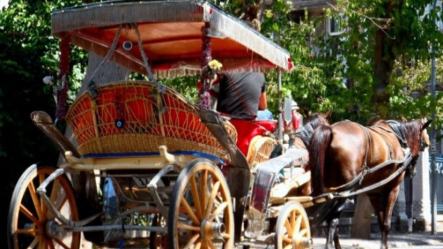 Adalar'da faytonlara at koşulması 3 ay süreyle durduruldu