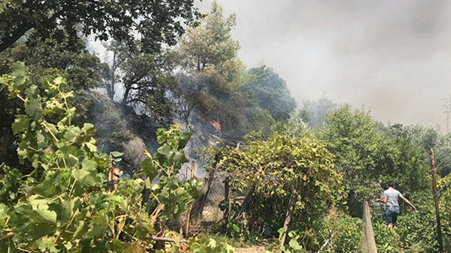 Bodrum'da çıkan yangın kontrol altına alındı