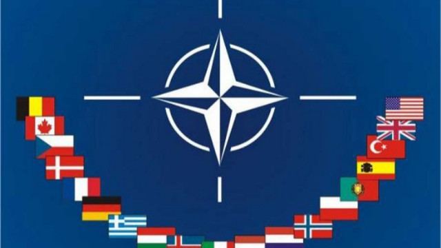 ABD NATO Temsilcisi: Türkiye’yi koparmaya çalışıyorlar