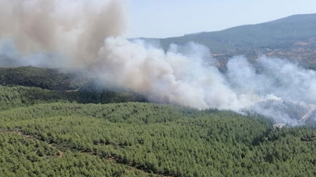 Bodrum'da korkutan orman yangını!