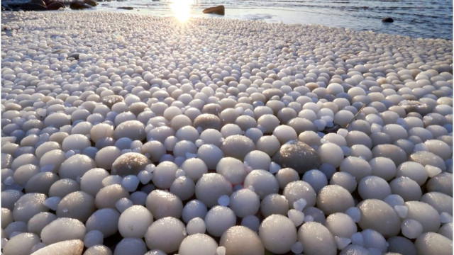 Sahilde yumurta benzeri buz topları
