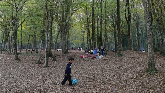 Belgrad Ormanı için anket