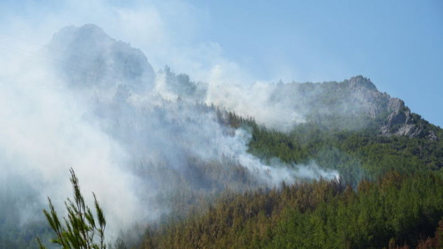 Antalya'da 3 hektarlık alan yandı