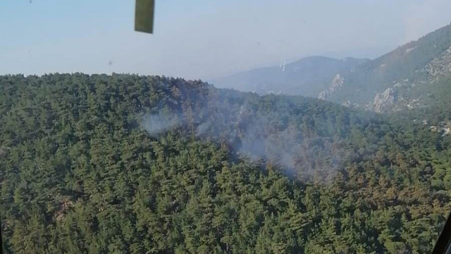 Milas’taki orman yangını kontrol altına alındı