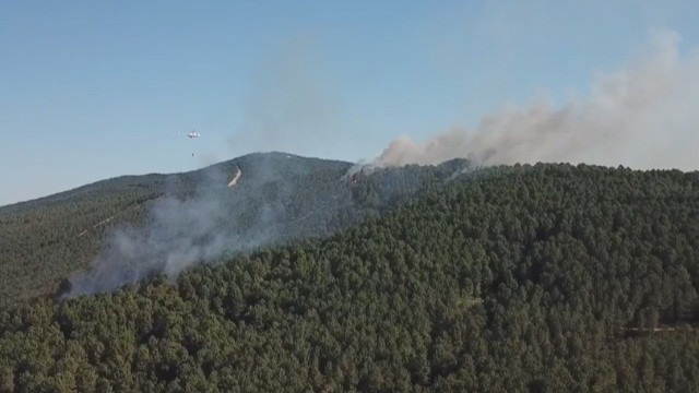 Son Dakika! İstanbul Valiliği: Aydos Ormanı'nda 4 farklı noktada yangın çıkmıştır