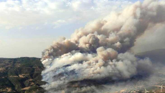 Bakan Pakdemirli: Aydın'daki yangın kontrol altında