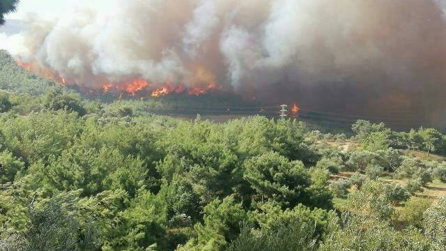 Hatay'da orman yangını; yerleşim yerlerine yaklaştı