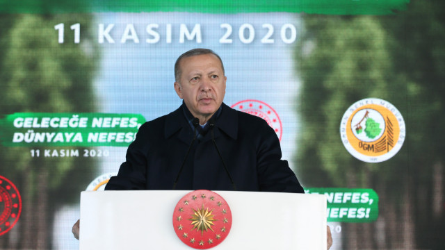 Erdoğan: Eleştirenler PKK'nın yaktığı ormanlardan bahsetmiyor