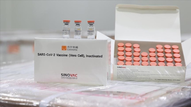 Türkiye İlaç ve Tıbbi Cihaz Kurumu CoronaVac aşısına 'Acil Kullanım Onayı' verdi