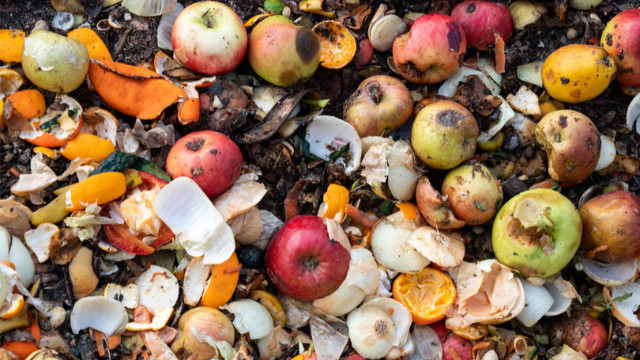 2021 BM Gıda İsrafı Raporu: Türkiye'de her yıl 7,7 milyon ton yiyecek çöpe atılıyor