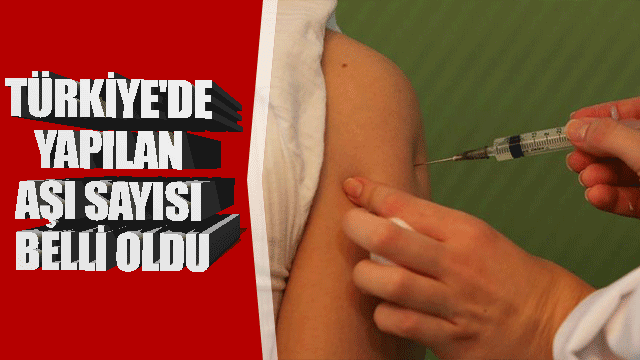 Türkiye'de yapılan aşı sayısı belli oldu