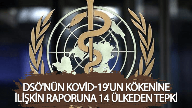 DSÖ'nün Kovid-19'un kökenine ilişkin raporuna 14 ülkeden tepki