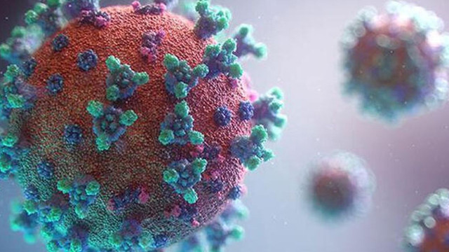 Türkiye'nin 11 Mayıs koronavirüs tablosu açıklandı
