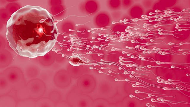 BioNTech aşısı spermlere zarar veriyor mu?