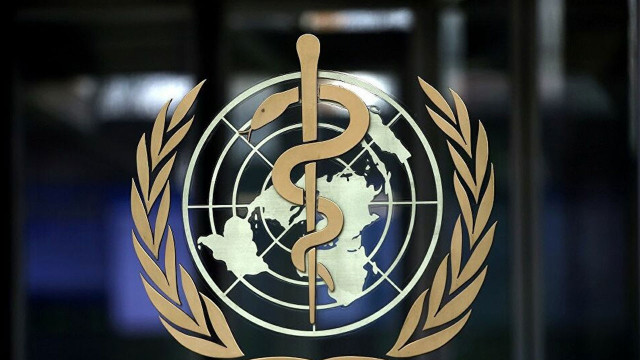 DSÖ: Lübnan ve Afganistan'da halk sağlığı risk altında