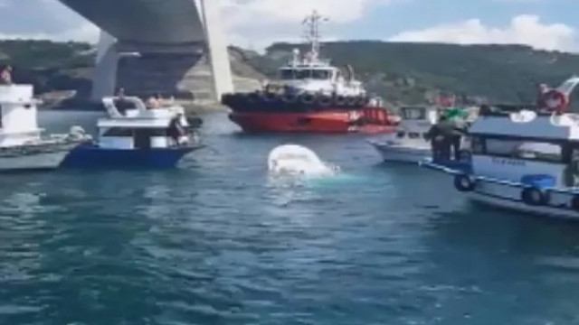 İstanbul Boğazı'nda gemi ile tekne çarpıştı