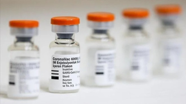 Sinovac'tan Covid-19 varyantlarına karşı yeni aşı